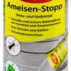 Aeroxon Ameisen-Stopp Streu- Und Gießmittel - 0,3 Kg 2 Aeroxon Ameisen-Stopp Streu- Und Gießmittel - 0,3 Kg -Gartenbedarfsgeschäft Aeroxon20Ameisen Stopp 35206 V01