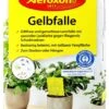 Aeroxon Gelbfalle - 10 Stück -Gartenbedarfsgeschäft Aeroxon20Gelbfalle 34558 V01