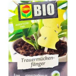 COMPO BIO Trauermückenfänger - 5 Stück