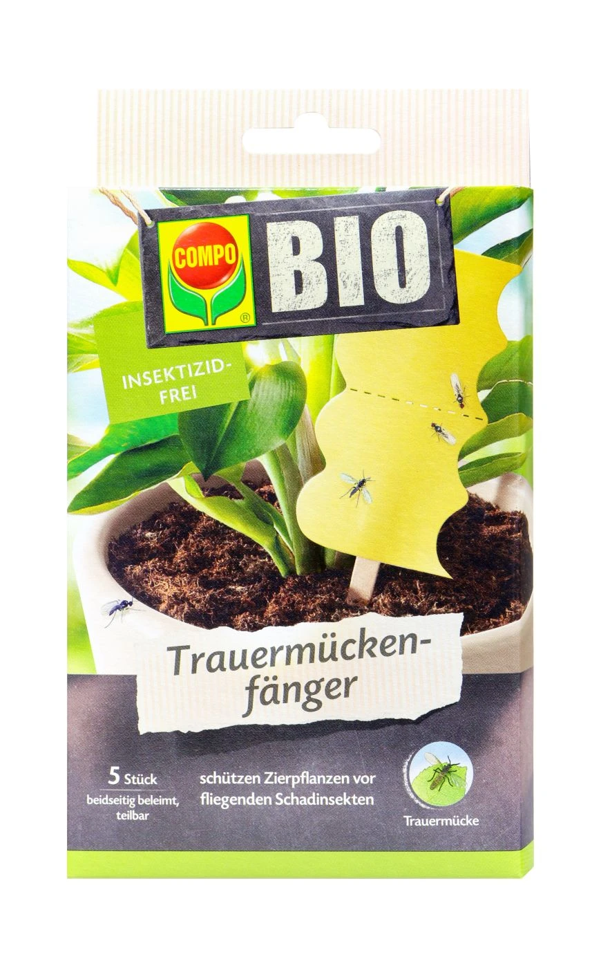 COMPO BIO Trauermückenfänger - 5 Stück 3 COMPO BIO Trauermückenfänger - 5 Stück