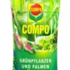 Compo Grünpflanzen- Und Palmendünger - 1 L -Gartenbedarfsgeschäft Compo20Gruenpflanzen 20und20Palmenduenger 31723 V01