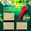 Compo Grünpflanzen- Und Palmen Düngestäbchen Mit Guano - 30 Stück -Gartenbedarfsgeschäft Compo20Gruenpflanzen20und20Palmen20Duengestaebchen 36766 V01