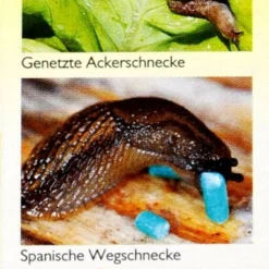 Neudorff Ferramol Schneckenkorn - 200 G -Gartenbedarfsgeschäft Neudorff20Ferramol20Schneckenkorn 32716 R01