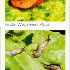 Neudorff Ferramol Schneckenkorn - 500 G -Gartenbedarfsgeschäft Neudorff20Ferramol20Schneckenkorn 32718 R01