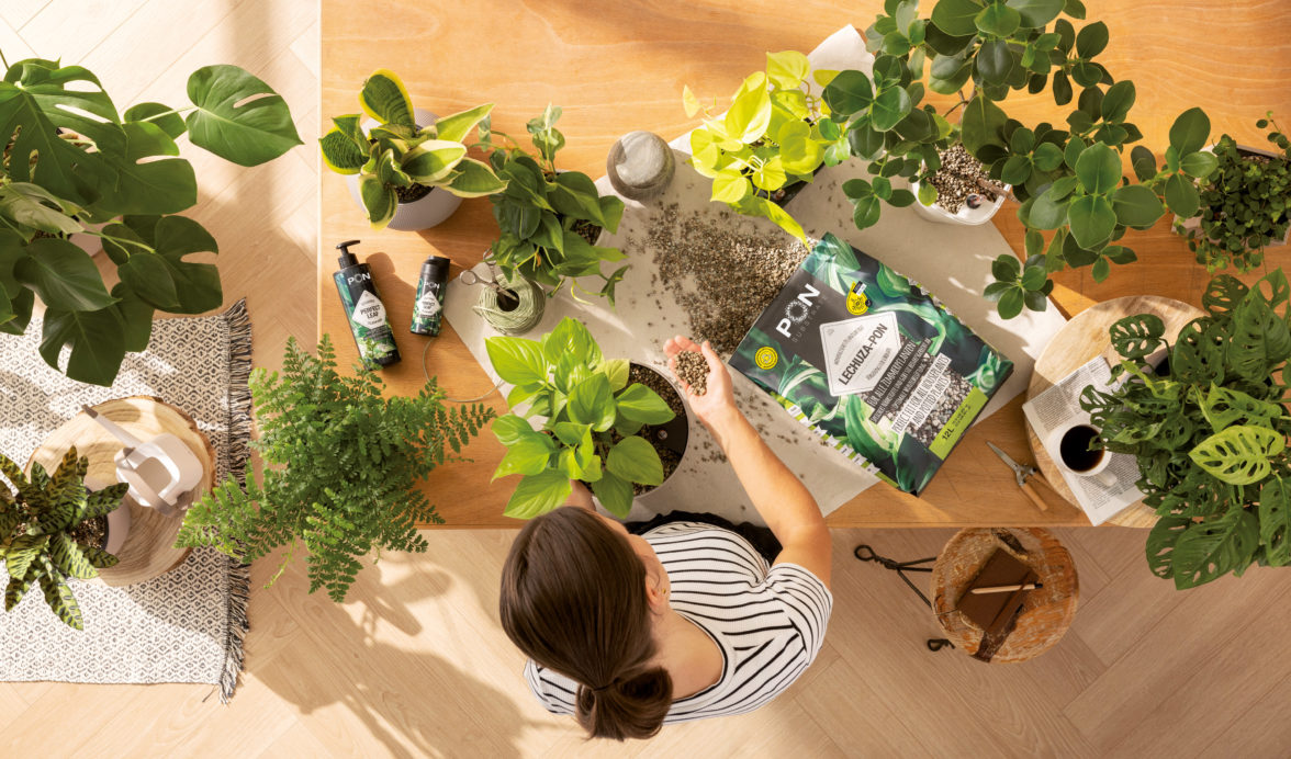 Gartenbedarfsgeschäft -Gartenbedarfsgeschäft aap